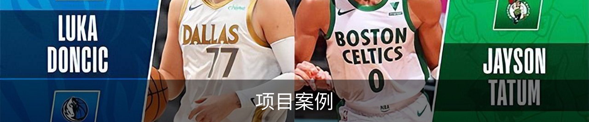 项目案例